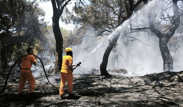 Antalya Konyaaltı'nda Orman Yangını