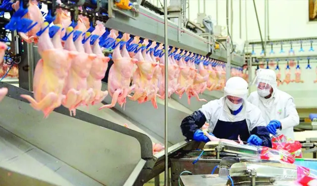 Beyaz et sektöründeki kayyım kararları kaldırıldı