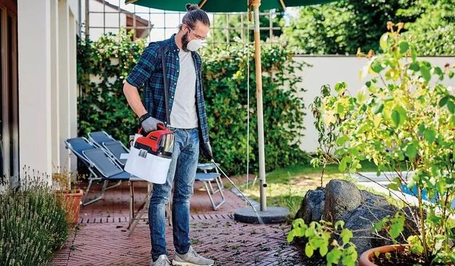Bahçenizde Sağlıklı Bir Düzen Oluşturmanın Sırları
