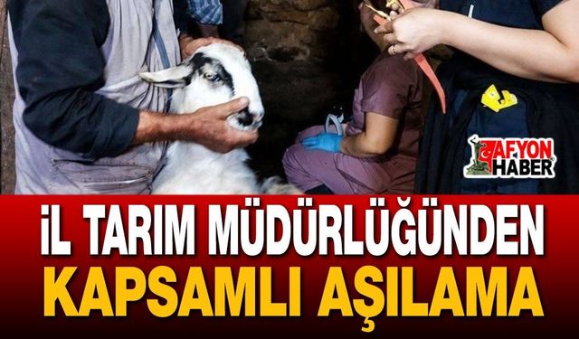 Afyon'da Hayvancılık Seferberliği Başladı