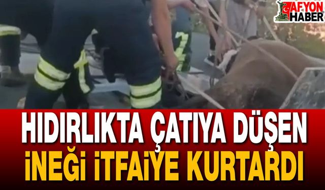 Hıdırlık'ta Çatıya Düşen İneği İtfaiye Kurtardı