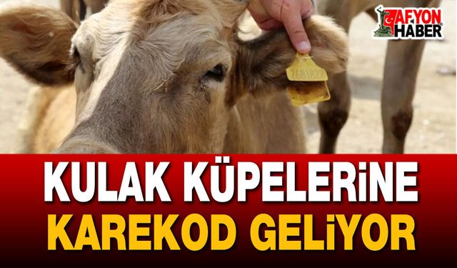 Kulak Küpelerinde Karekod ve Yeni Düzenleme