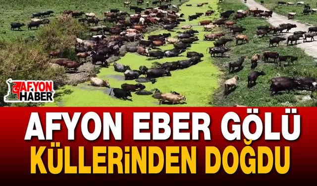 Afyon Eber Gölü Küllerinden Doğdu