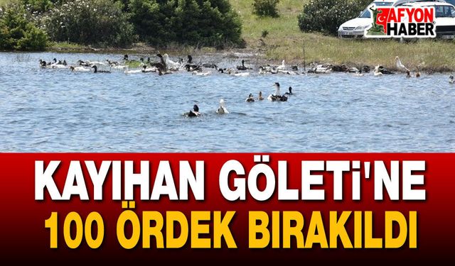 Kayıhan Göleti'ne 100 ördek bırakıldı