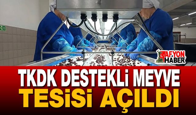 TKDK Destekli Meyve Tesisi Açıldı