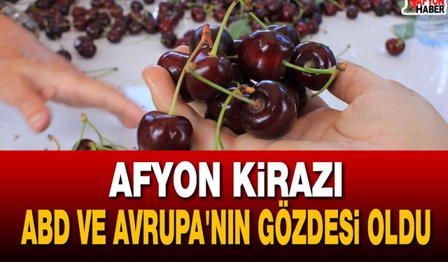 Afyon Kirazı ABD ve Avrupa'nın Gözdesi Oldu