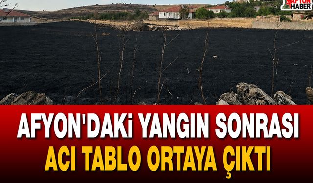 Afyon'daki Yangın Sonrası Acı Tablo Ortaya Çıktı