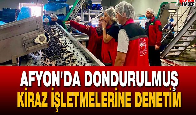Afyon'da Dondurulmuş Kiraz İşletmelerine Denetim