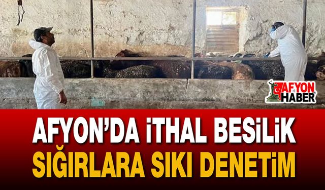 Çay İlçe Tarım Müdürlüğü’nden İthal Hayvanlara Yönelik Resmi Kontrol