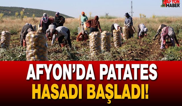 Afyon’da Patates Hasadı Başladı!