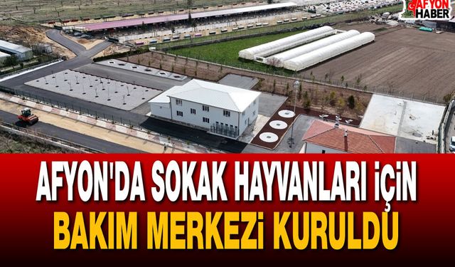 Afyon'da Sokak Hayvanları İçin Bakım Merkezi Kuruldu