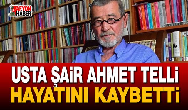 Usta Şair Ahmet Telli Hayatını Kaybetti