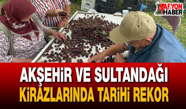 Akşehir ve Sultandağı Kirazında Üretim Tarihin Zirvesinde