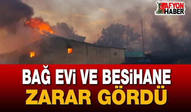 Sandıklı'da Alevler Bağ Evi ve Besihaneye Sıçradı