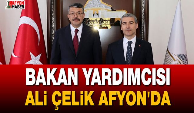 Bakan Yardımcısı Ali Çelik Afyon'da