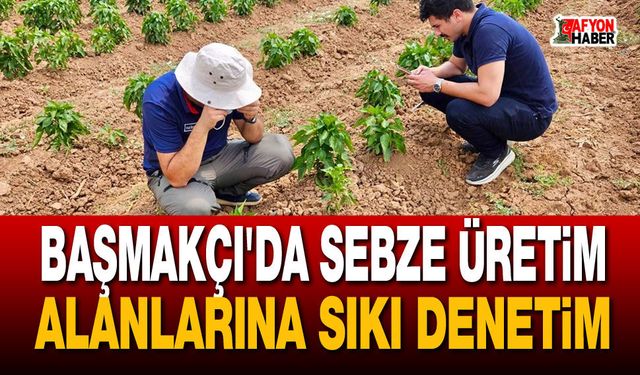 Başmakçı'da sebze üretim alanlarına sıkı denetim