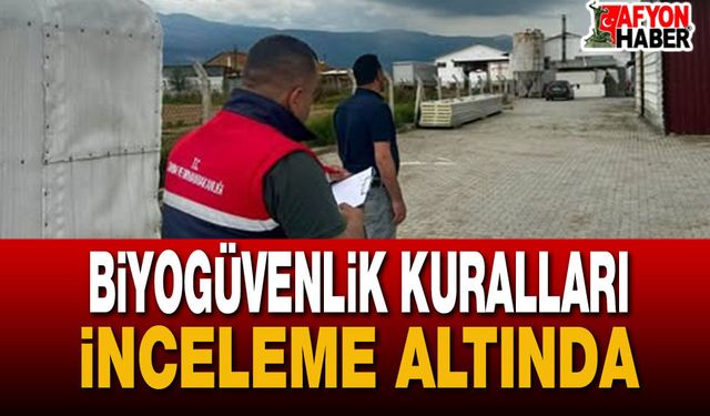 Başmakçı'da Kanatlı İşletmelerinde Biyogüvenlik Denetimi