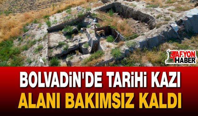 Üçhöyük'teki Kazı Alanı Sokak Köpeklerinin Meskeni Oldu