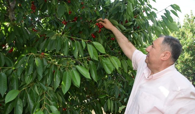 Mısırlıoğlu: "Taban Fiyat Belirlensin"