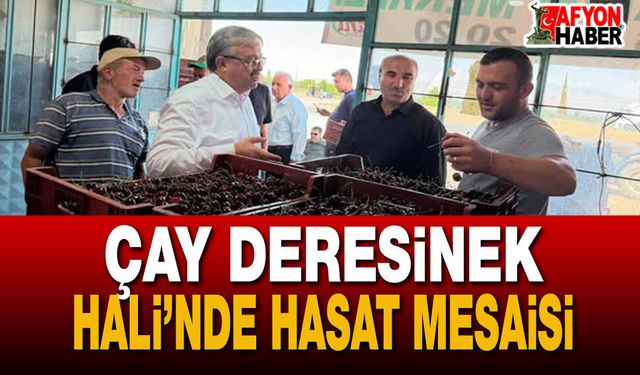Milletvekili Yurdunuseven Kiraz ve Vişne Alımlarını İnceledi