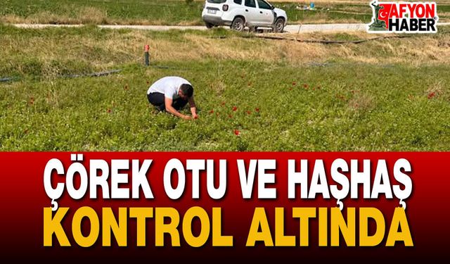 İl Müdürlüğü'nden Tarım Arazilerine Denetim