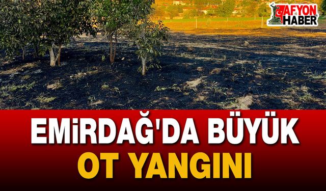 Emirdağ'da Korkutan Ot Yangını: 5 Bin Dekarlık Alan Zarar Gördü