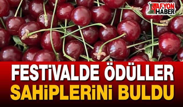 Festivalde ödüller sahiplerini buldu