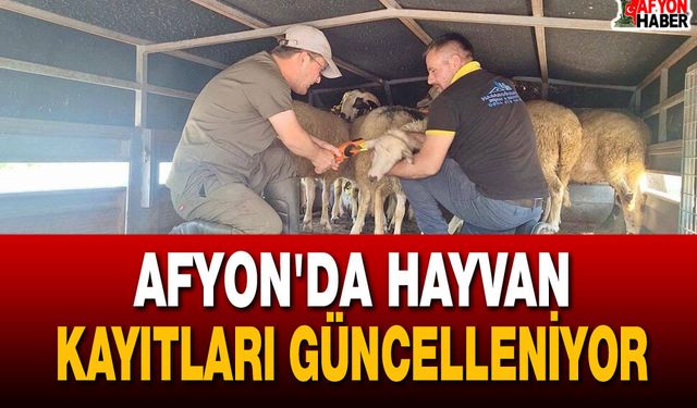 Afyon'da Hayvan Kayıtları Güncelleniyor