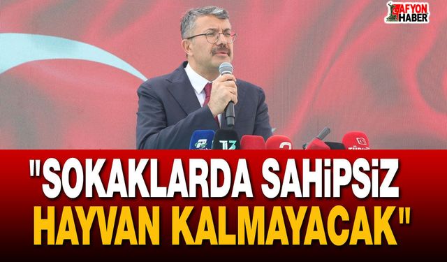 Bakan Yardımcısı Çelik: "Sokaklarda Sahipsiz Hayvan Kalmayacak"