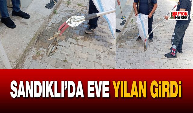 Sandıklı’da Yılan Paniği