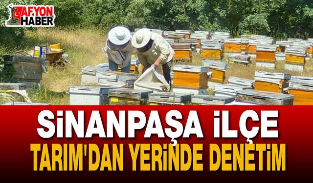 Sinanpaşa’da Arılı Kovan Tespit ve Güncelleme Çalışmaları Başladı