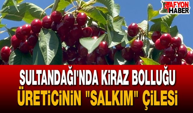 Sultandağı’nda Kiraz Hasadı: Bolluk Var, Kazanç Yok