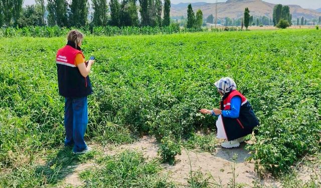 Afyon'da Toprak Kaynakları ve Tarım Arazileri Koruma Altında