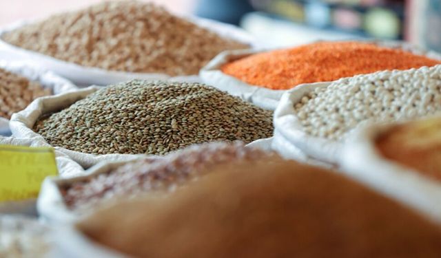 TİGEM, Türkiye’nin Tohum Tedarikini Garanti Altına Alıyor