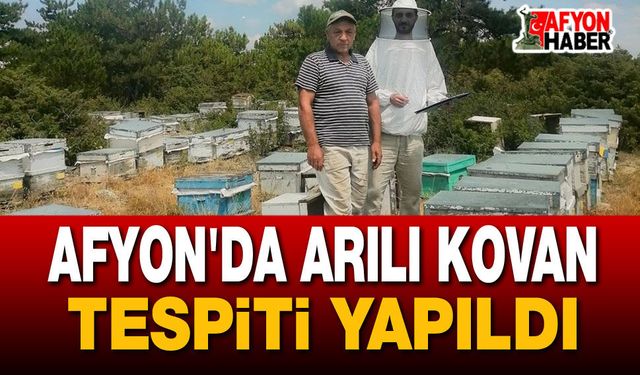 Afyon'da arılı kovan tespiti yapıldı