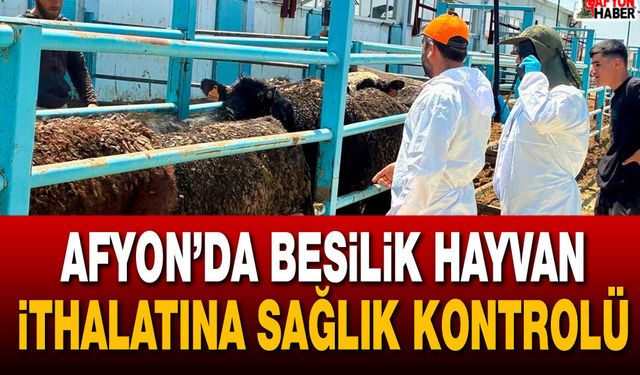 Afyon’da besilik hayvan ithalatına sağlık kontrolü