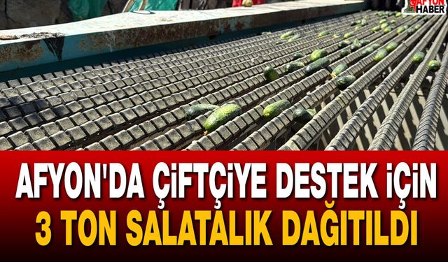 Afyon'da çiftçiye destek için 3 ton salatalık dağıtıldı