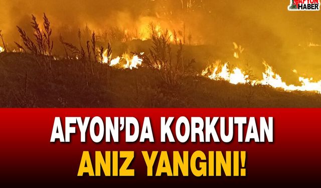 Afyon’da korkutan anız yangını!