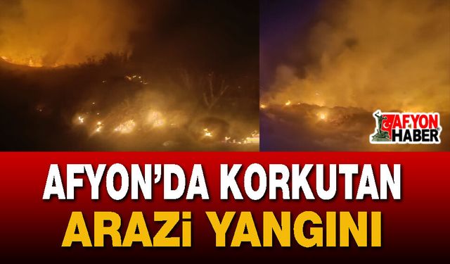 Afyon’da korkutan arazi yangını