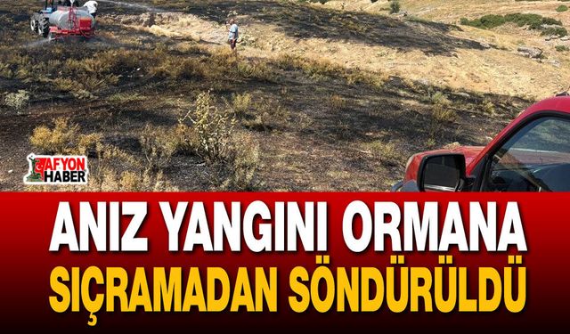 Anız yangını ormana sıçramadan söndürüldü