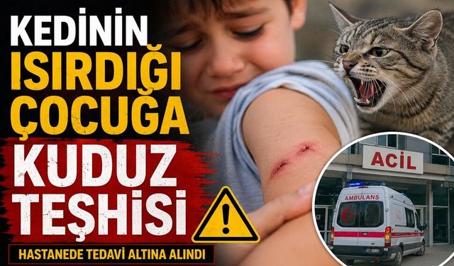 Kedinin ısırdığı çocuğa kuduz teşhisi