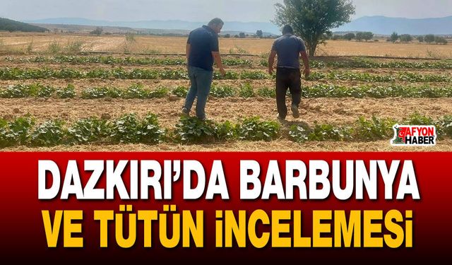 Dazkırı’da barbunya ve tütün incelemesi
