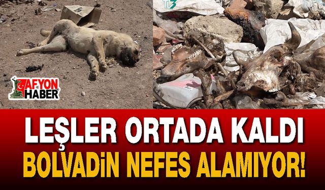 Leşler Ortada Kaldı, Bolvadin Nefes Alamıyor!