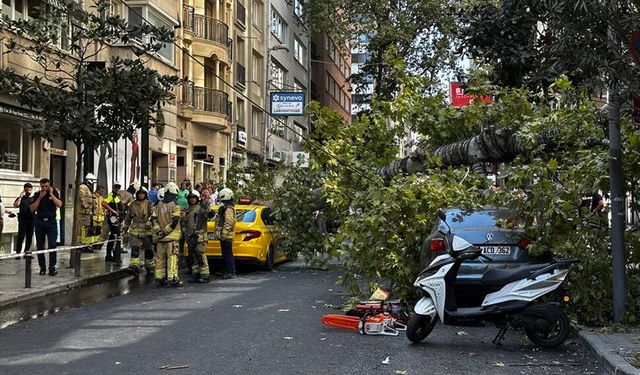Şişli'de araçların üzerine ağaç devrildi