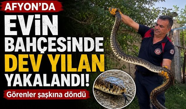 Afyon'da evin bahçesinde dev yılan yakalandı