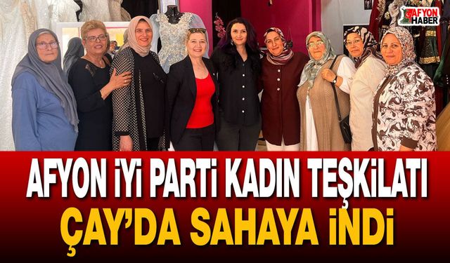 Afyon İYİ Parti Kadın Teşkilatı Çay’da sahaya indi