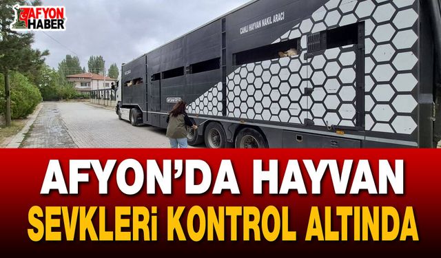 Afyon’da hayvan sevkleri kontrol altında