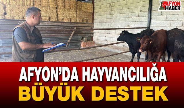 Afyon’da hayvancılığa büyük destek