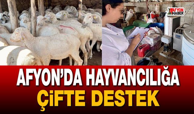 Afyon’da hayvancılığa çifte destek