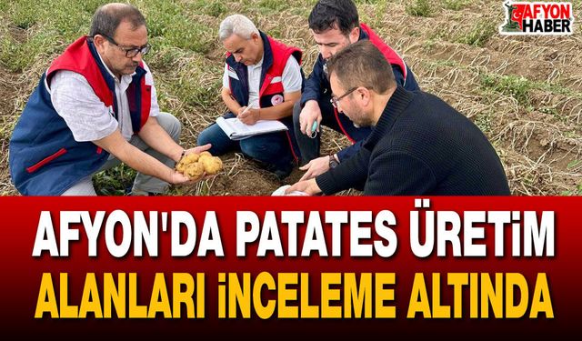 Afyon'da patates üretim alanları inceleme altında